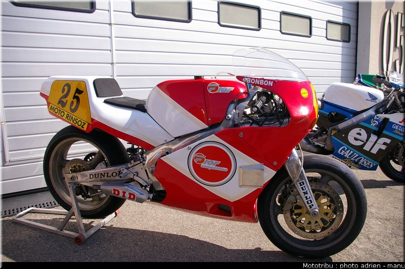 paddock_0082