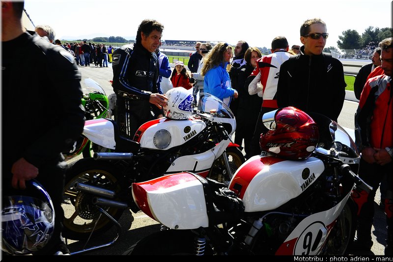 paddock_0083