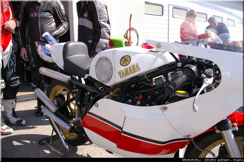 paddock_0086