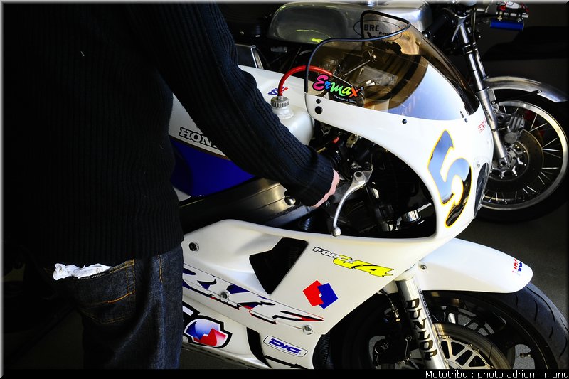 paddock_0088