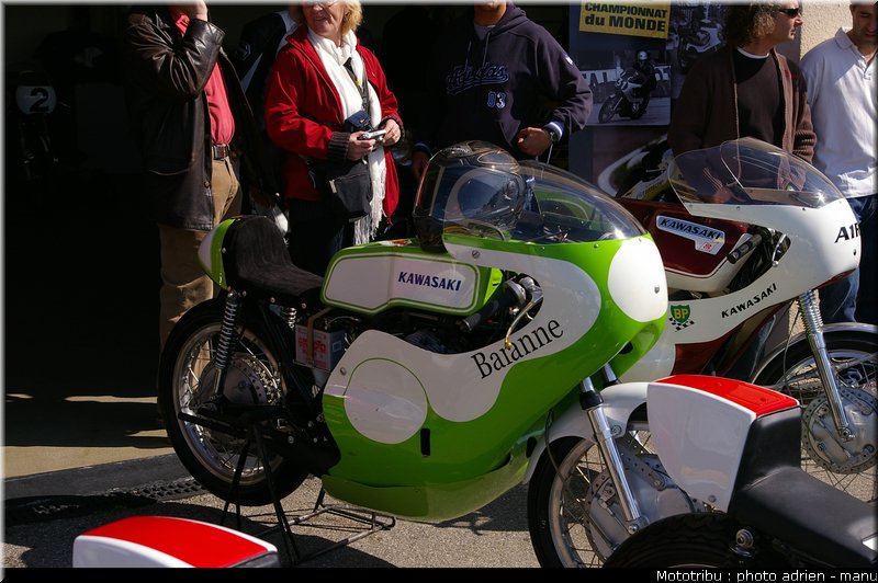 paddock_0089