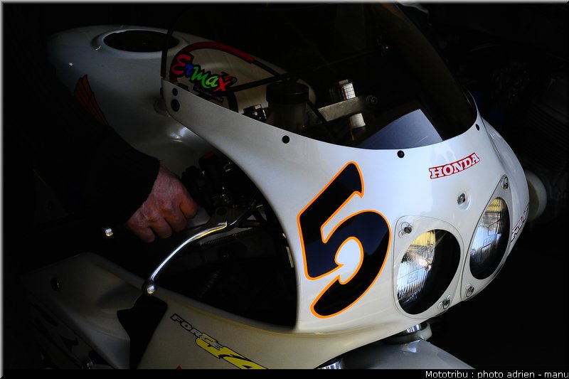 paddock_0090