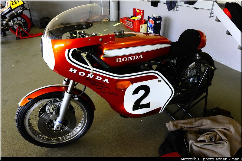 paddock_0094