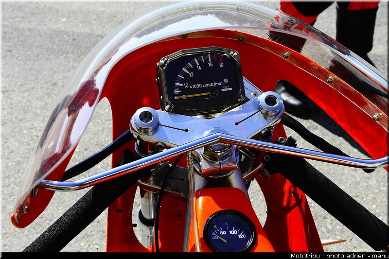 paddock_0105