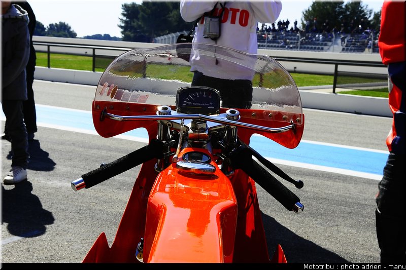 paddock_0107