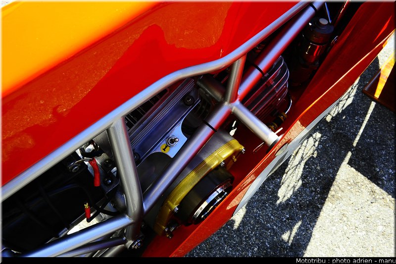 paddock_0108