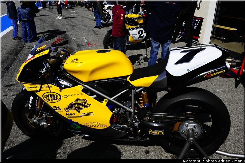 paddock_0110