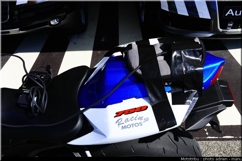 paddock_0116