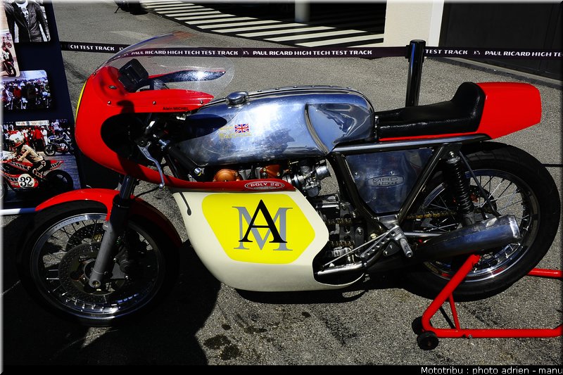 paddock_0118