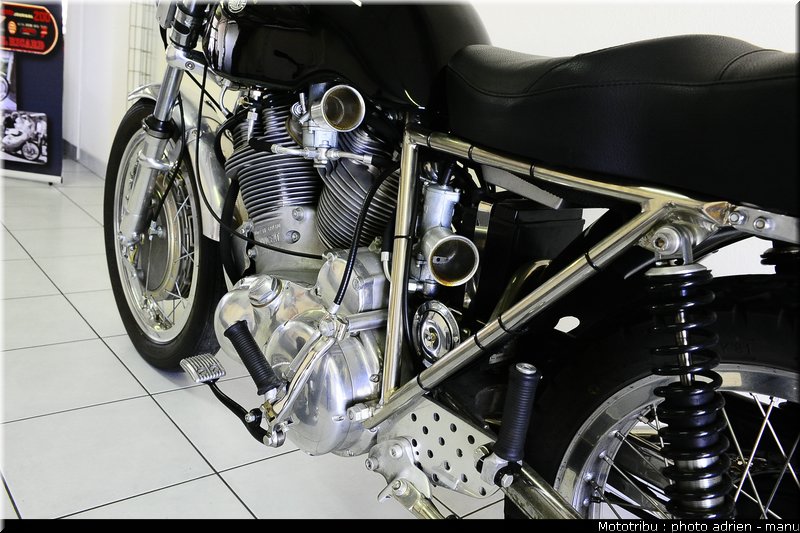paddock_0131