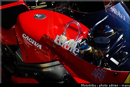 paddock_0008.JPG