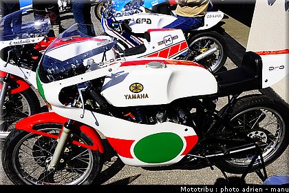 paddock_0033.JPG
