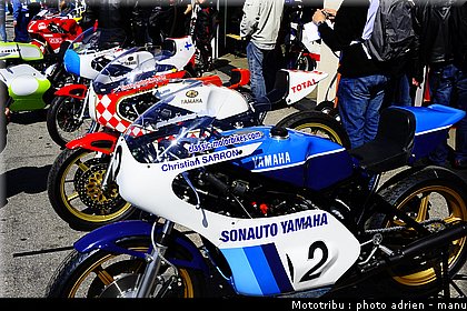paddock_0044.JPG