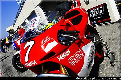 paddock_0049.JPG