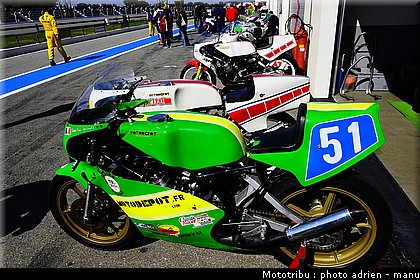 paddock_0056.JPG