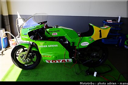 paddock_0057.JPG