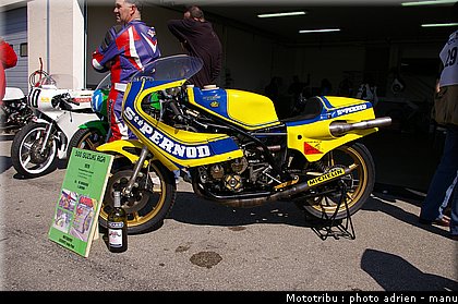 paddock_0061.JPG