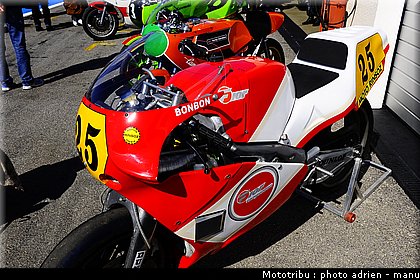 paddock_0065.JPG