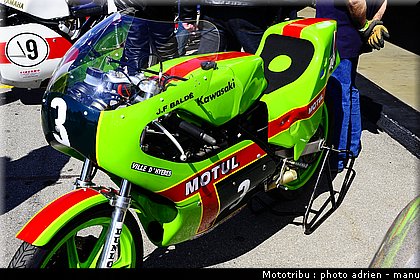 paddock_0067.JPG