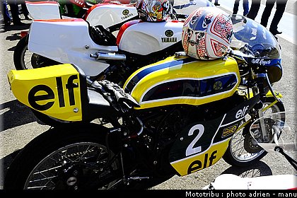 paddock_0078.JPG