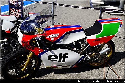paddock_0079.JPG