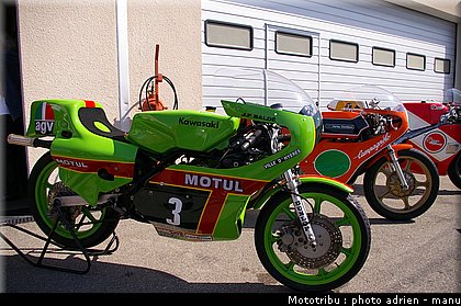 paddock_0080.JPG