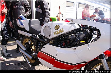 paddock_0086.JPG