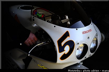 paddock_0090.JPG