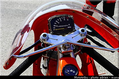 paddock_0105.JPG