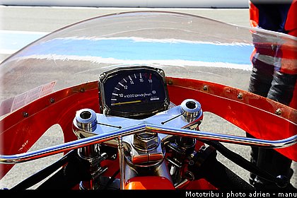 paddock_0106.JPG