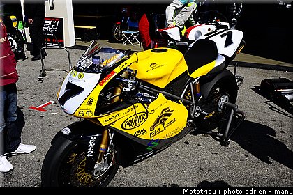 paddock_0112.JPG