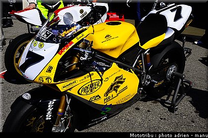 paddock_0113.JPG
