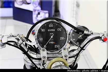 paddock_0128.JPG