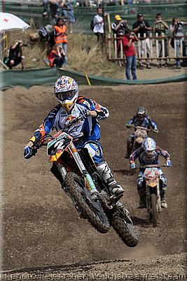 searle_1.jpg