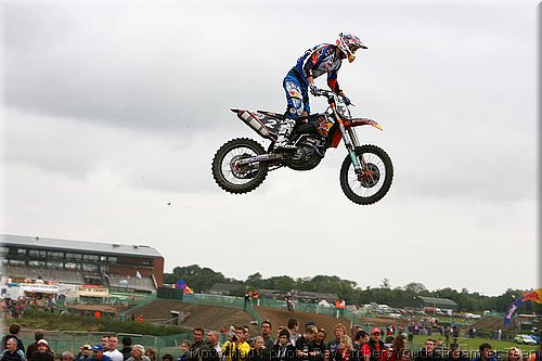 searle_01.jpg
