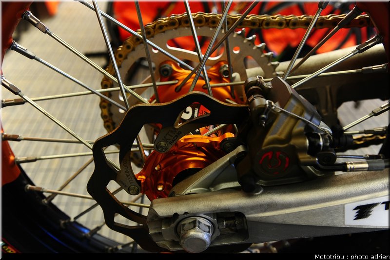 cross_paddock_pernes2009_031