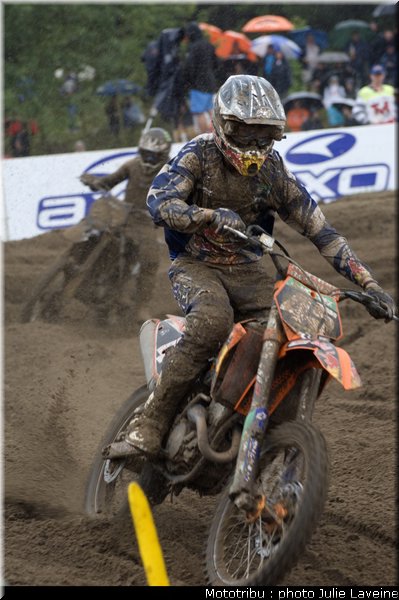nicholls