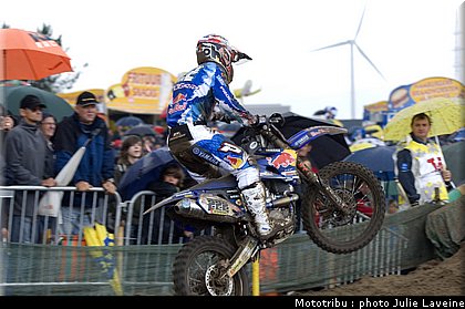 cairoli_2.jpg