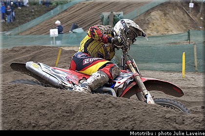desalle_05.jpg