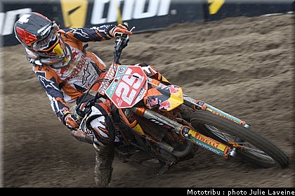 musquin_1.jpg