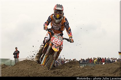 musquin_2.jpg