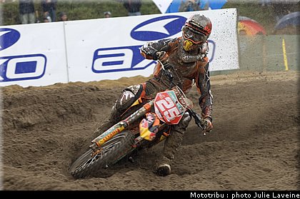 musquin_3.jpg