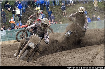 mx11_1.jpg