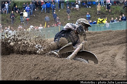 philippaerts_1.jpg