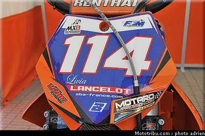 paddock_cross_pernes_2010_027.JPG