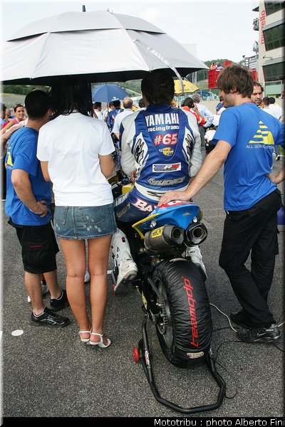lorisBaz_5stock1000