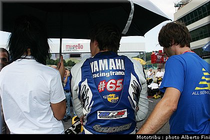 lorisBaz_4stock1000.JPG