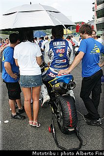 lorisBaz_5stock1000.JPG