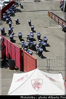 paddock_2.JPG