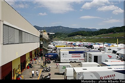 paddock_3.JPG